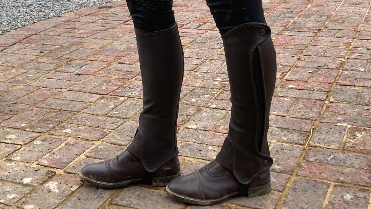 Just Chaps Saltos leather half chaps