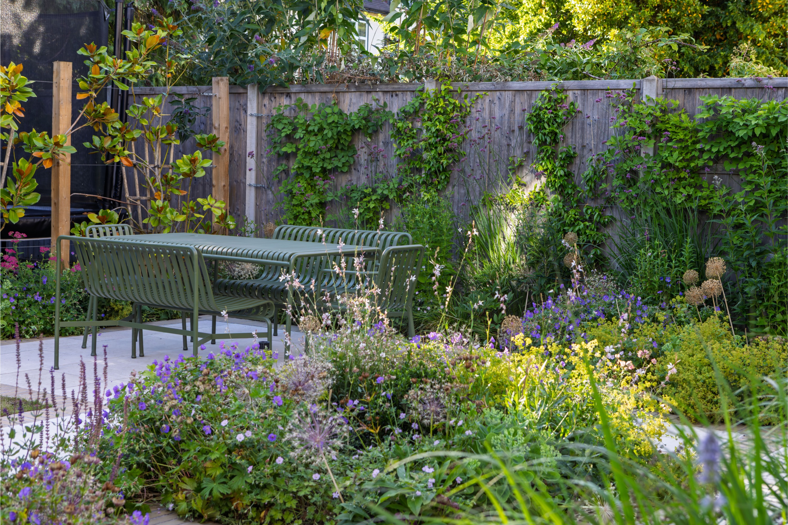 garden with wire climbers for privacy screening