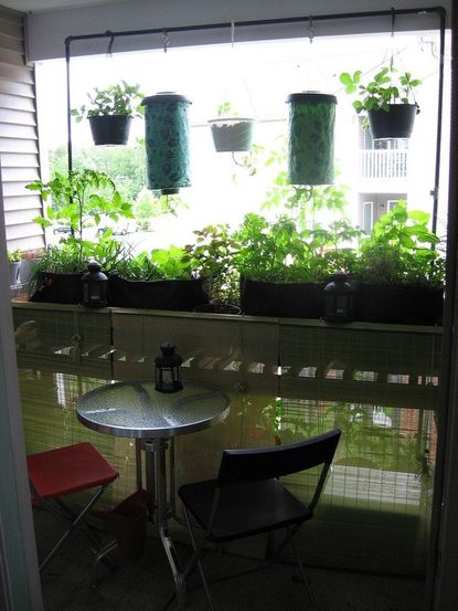 Biointensive Garden On Balcony