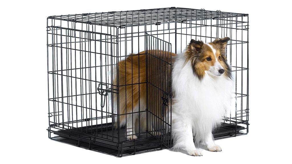 Best Dog Crates 2024 For Keeping Your Pooch Safe | PetsRadar