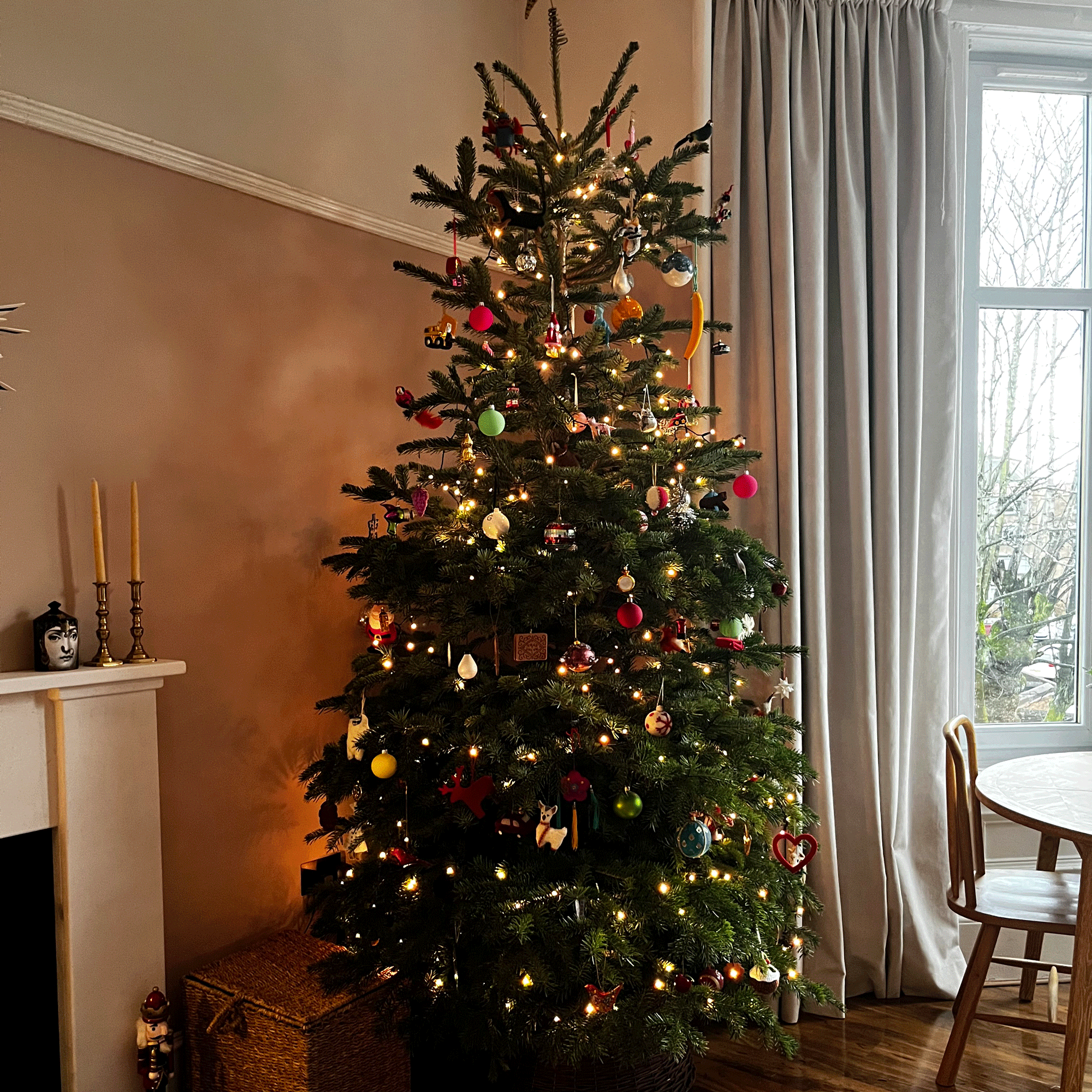 Colour-changing Philips Hue Festavia string lights on a Christmas tree
