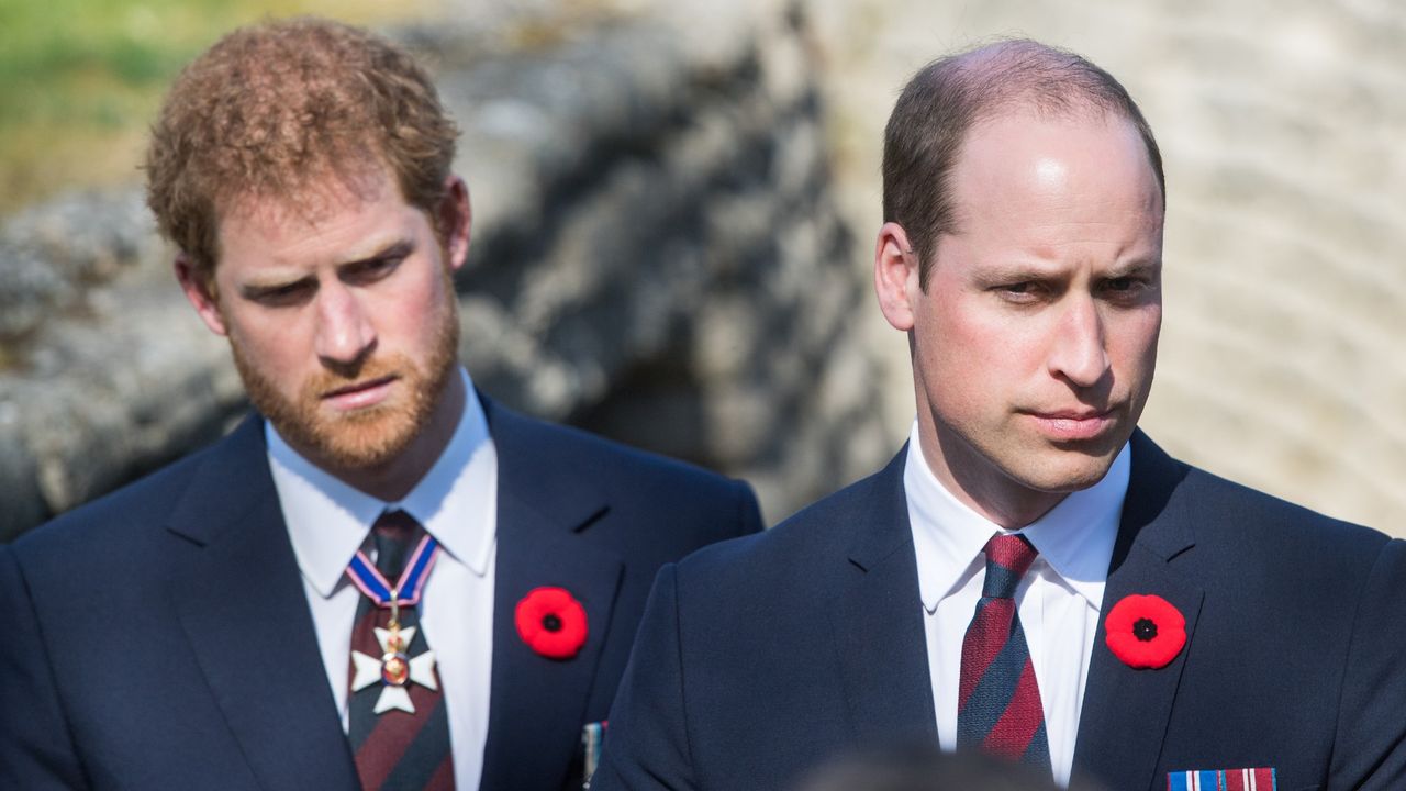 Prince William, Duke of Cambridge and Prince Harry walk through a trench during the commemorations for the 100th anniversary of the battle of Vimy Ridge on April 9, 2017 in Lille, France.