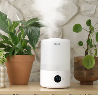 Levoit humidifier on shelf with plants