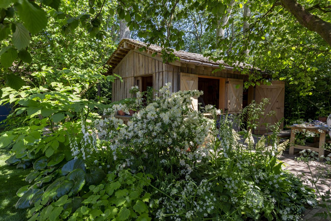 The NGS Garden at the 2024 RHS Chelsea Flower Show, designed by Tom Stuart-Smith.