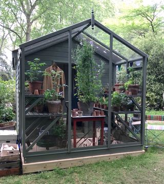 A dark gray shed with greenhouse extension filled with potted plants.