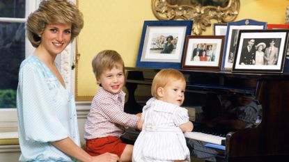 Prince Harry Prince William Princess Diana 