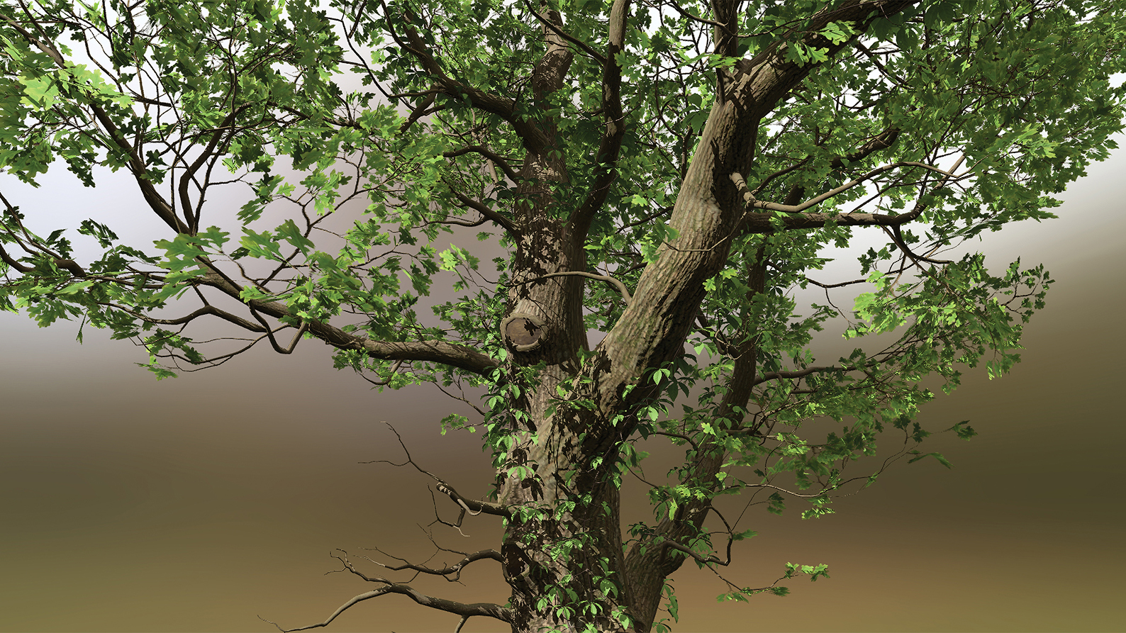 How to make lifelike trees and vegetation with SpeedTree