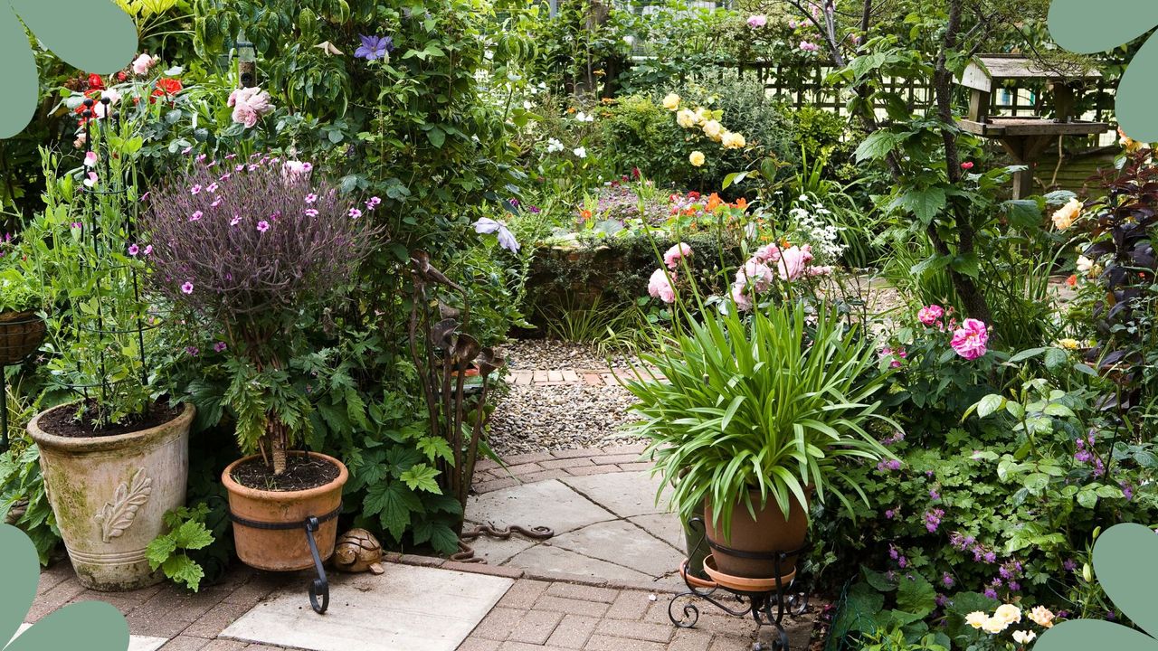 Picture of a courtyard garden with stablished potted plants to support Monty don&#039;s bulb lasagne planting idea