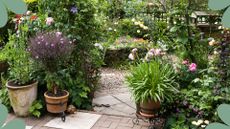 Picture of a courtyard garden with stablished potted plants to support Monty don's bulb lasagne planting idea
