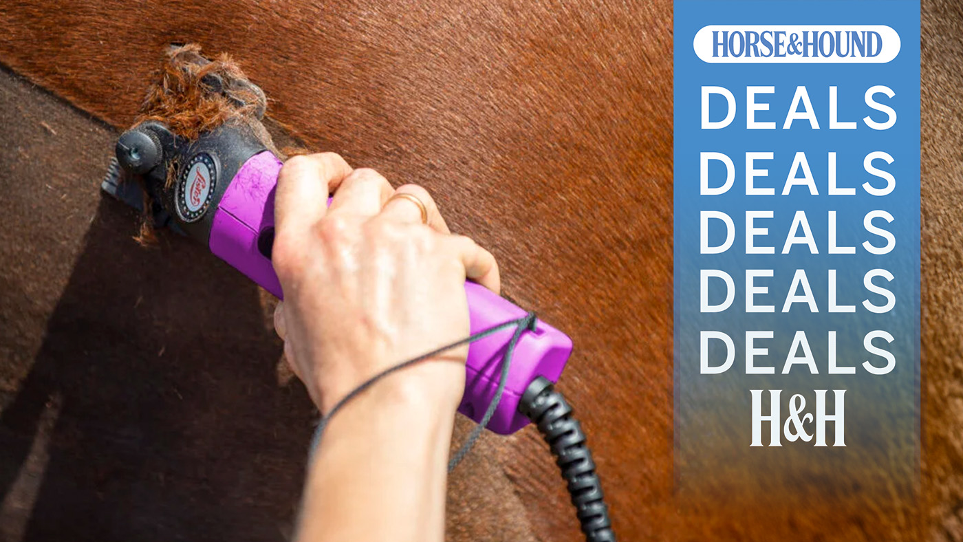 Lister Star clippers being used on a horse with H&amp;amp;H deals graphic