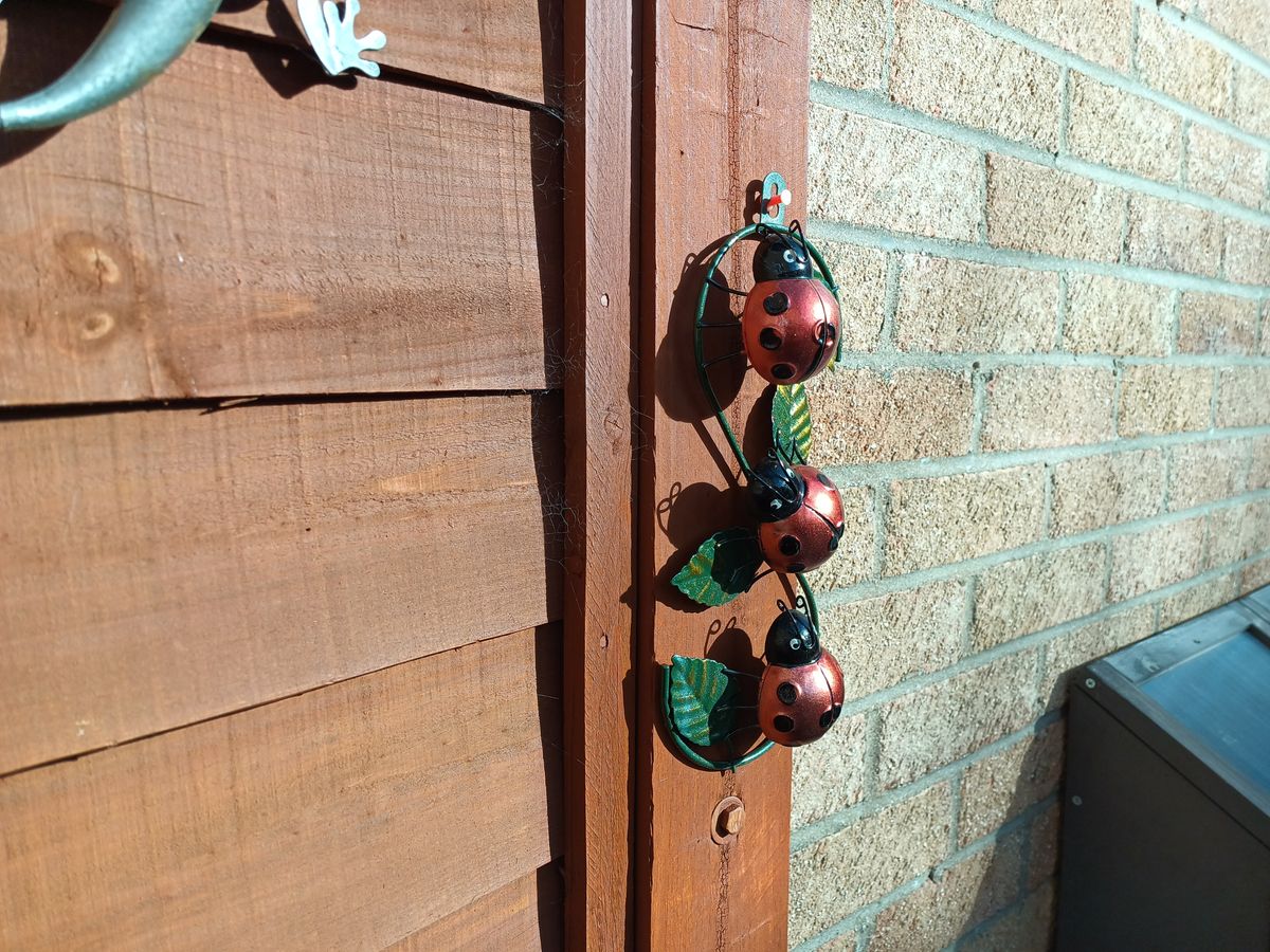 Pictures taken with the Doogee V Max