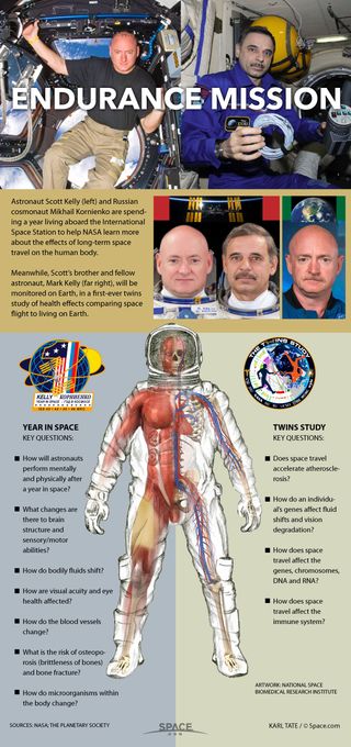 NASA astronaut Mark Kelly and Russian cosmonaut Mikhail Kornienko are taking the ultimate space trip: one year in space on the International Space Station. See how their epic yearlong space station mission works in this infographic.