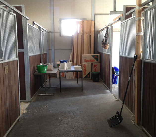 Treating boxes in the veterinary station at Aachen