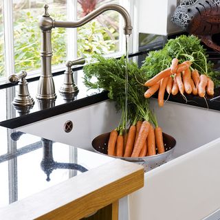 kitchen with butler white sink