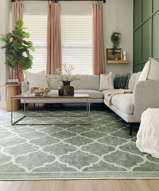 A green ruggable rug in a green living room