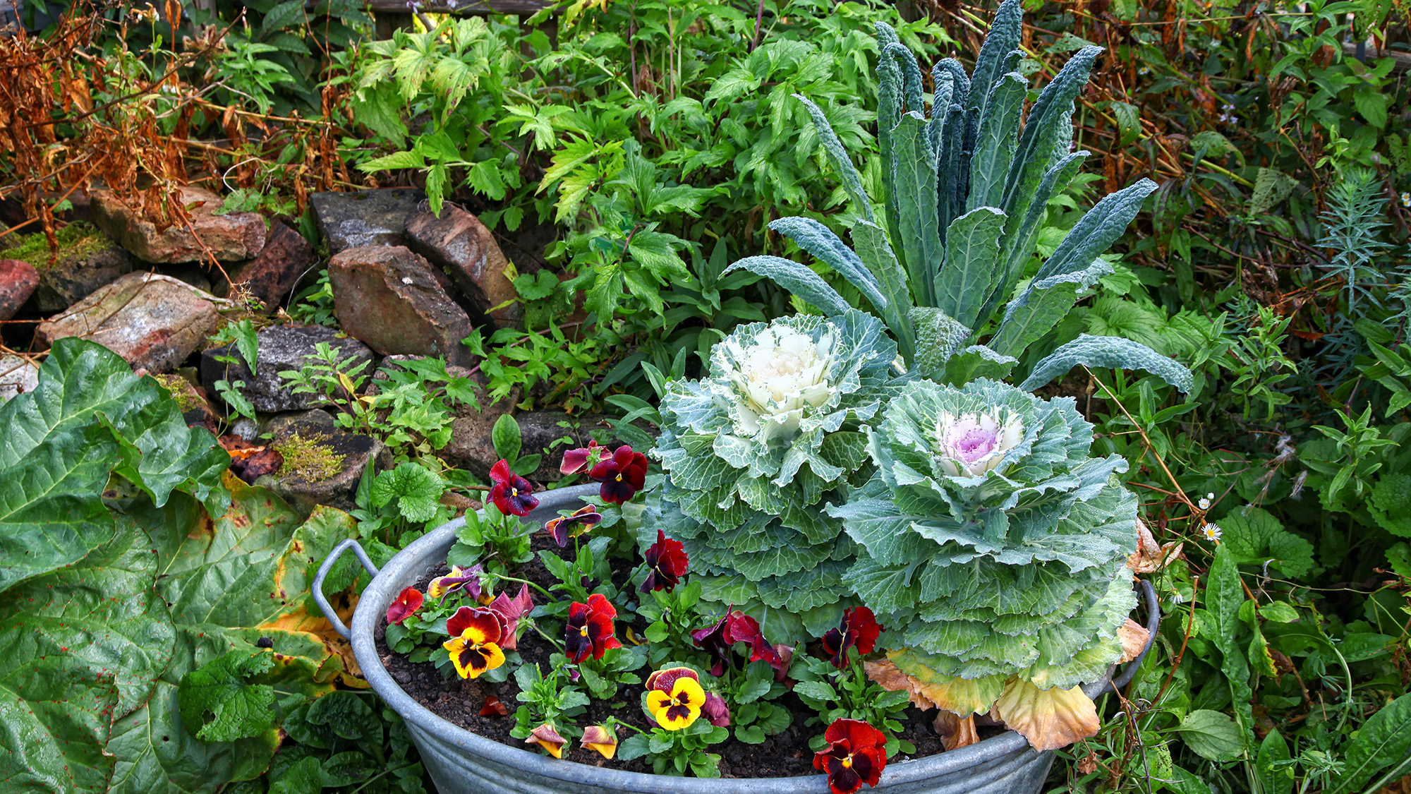 Container gardening