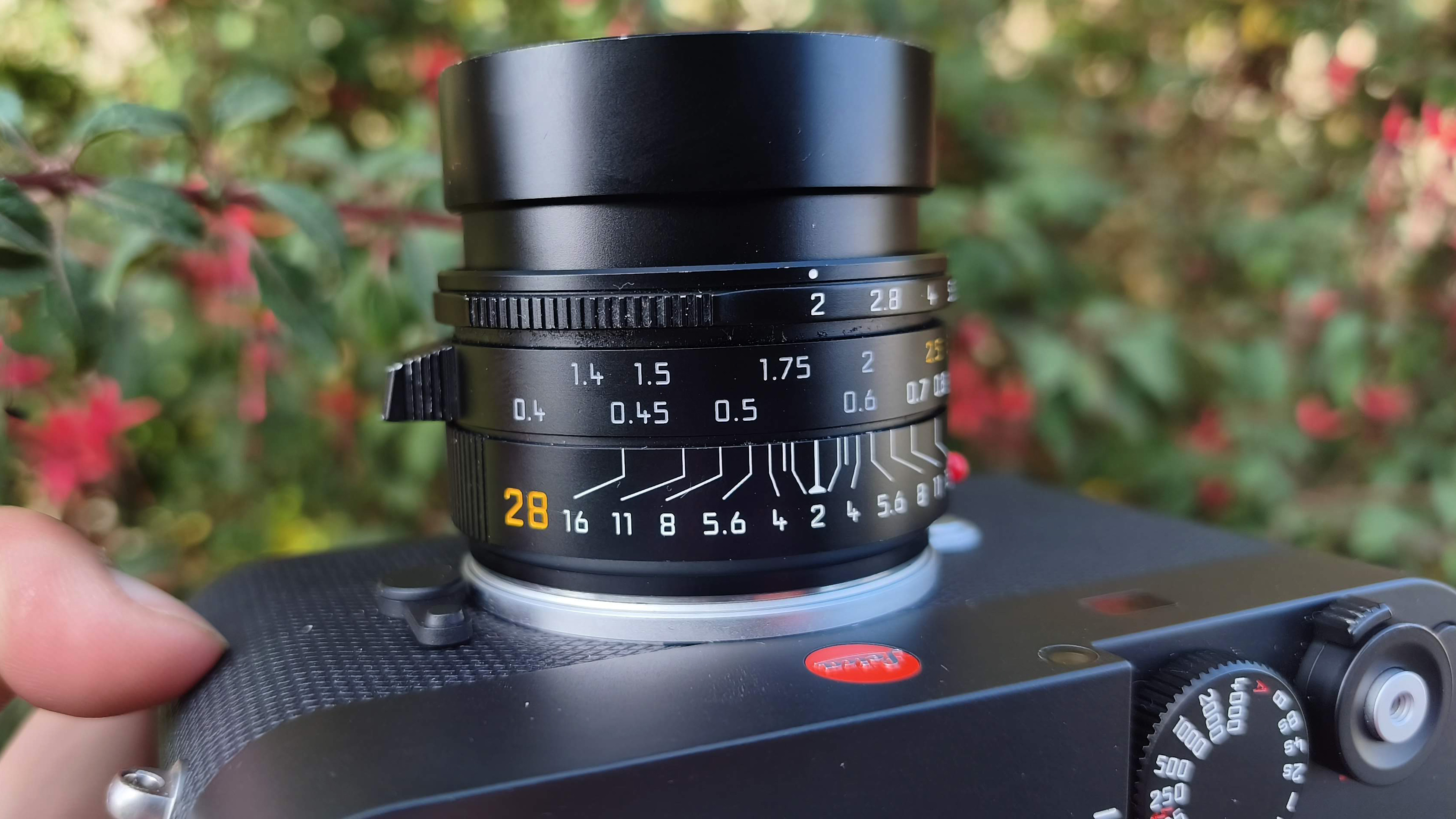 Leica 28mm Summicron-M f/2 ASPH. Model 11618