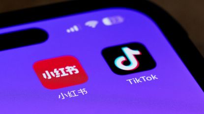 Icons for the apps Xiaohongshu (RedNote) and TikTok are seen on a smartphone.