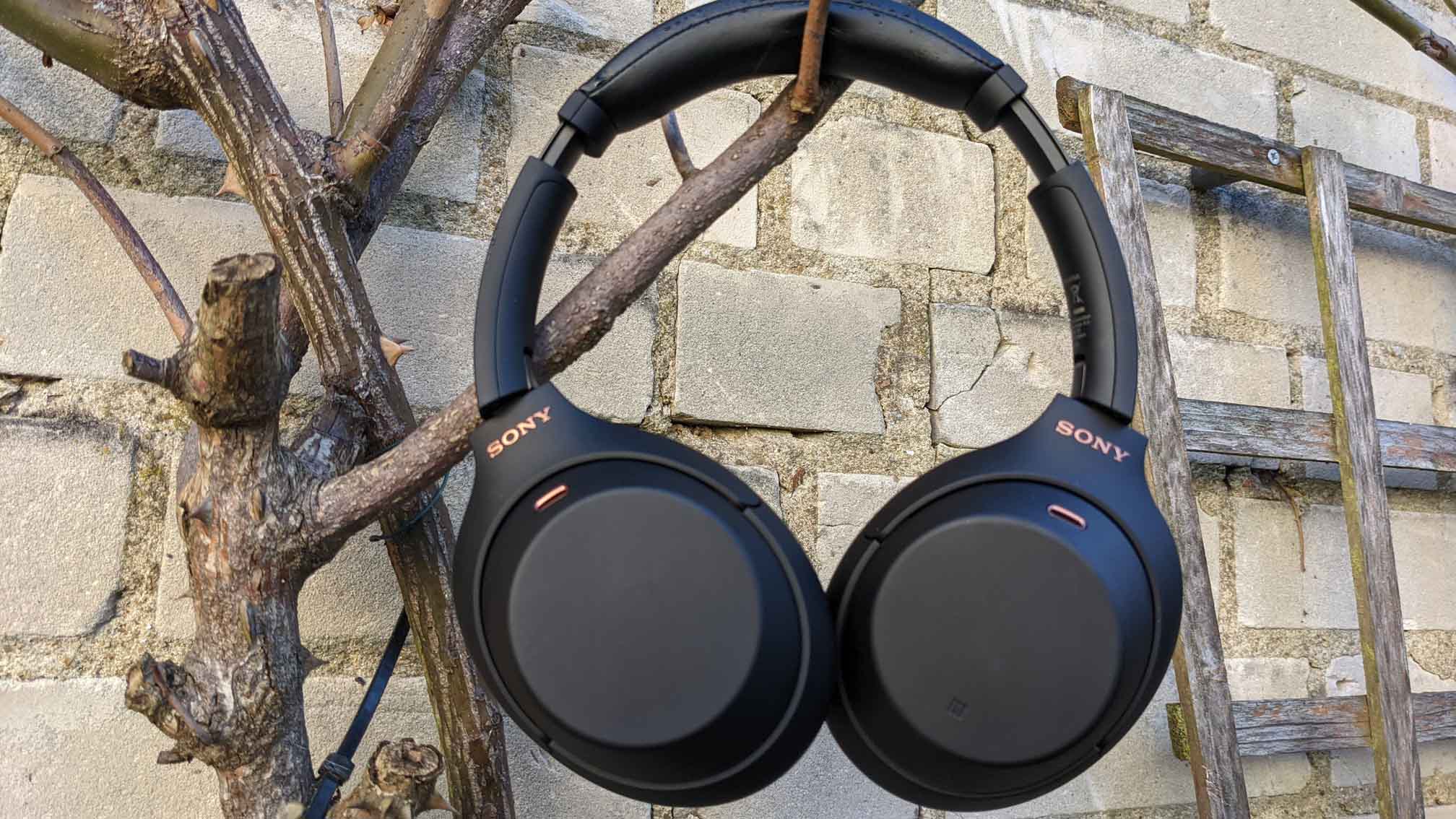 Sony WH-1000XM4 review: the best just got better