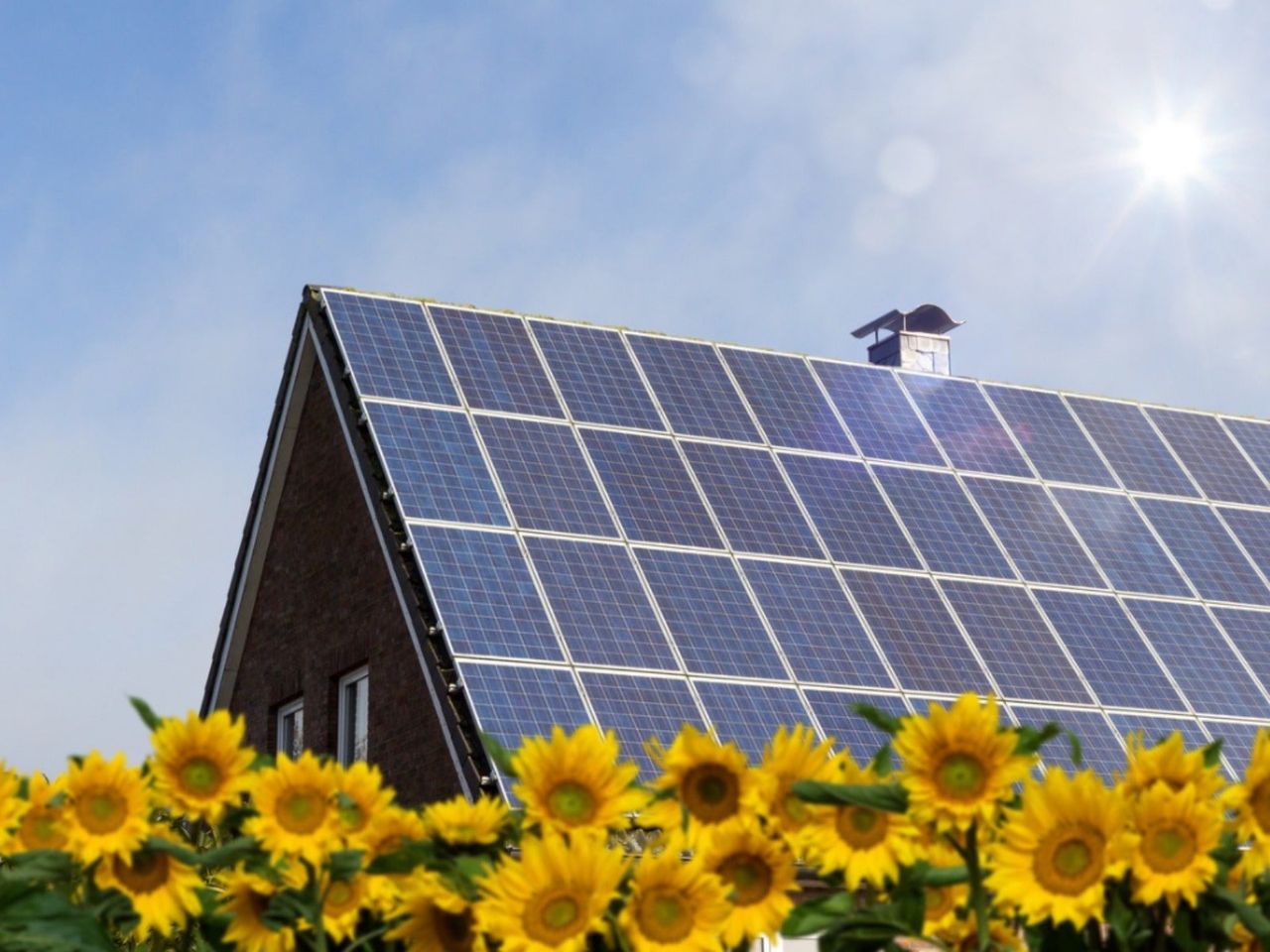 A peaked roof covered in solar panels, with many sunflowers in the foreground