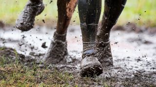 Close-up of two people's feet running in mud