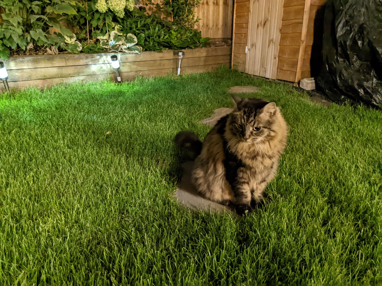 A photo taken on the Google Pixel 6a