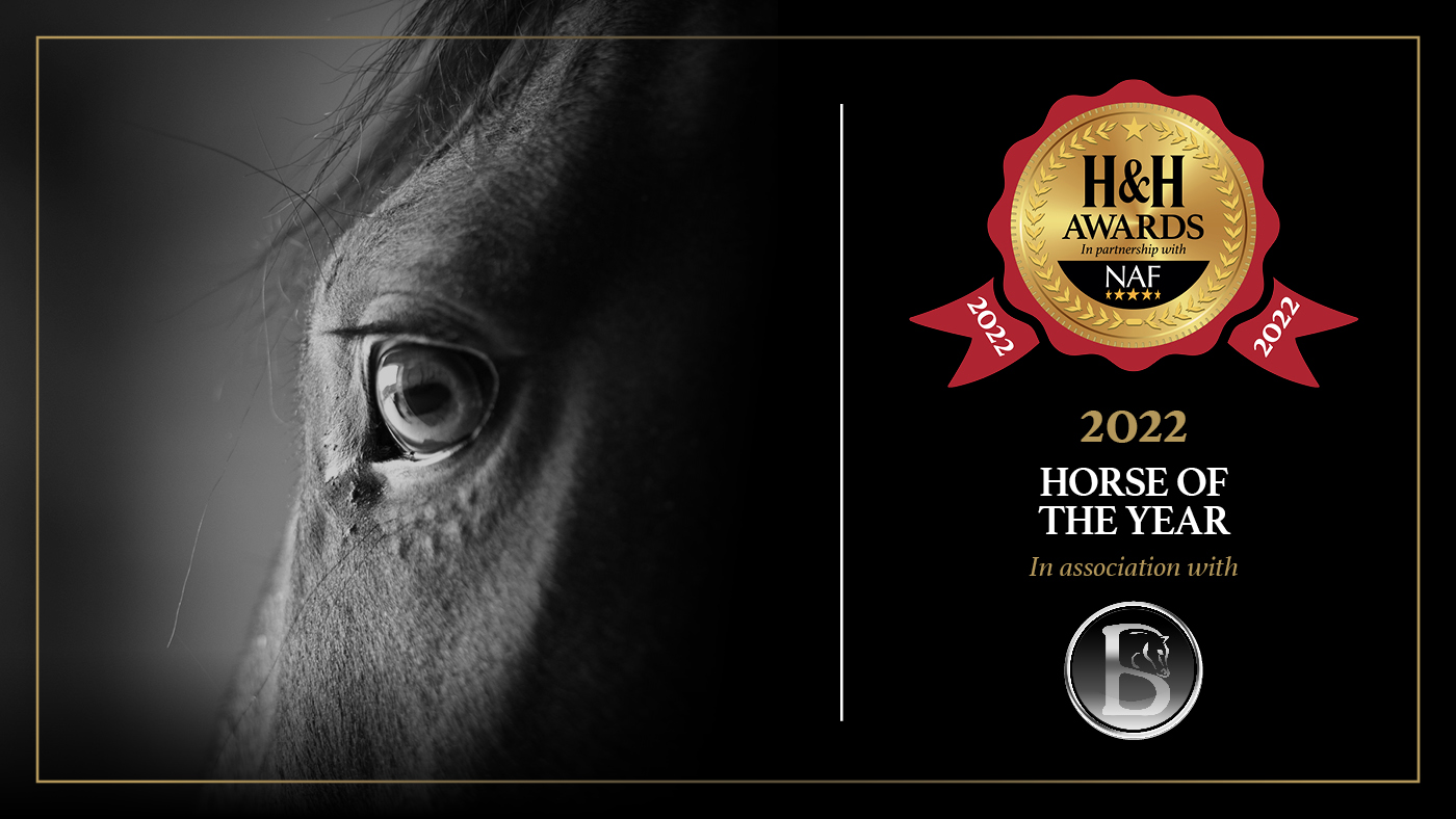 Horse of the Year