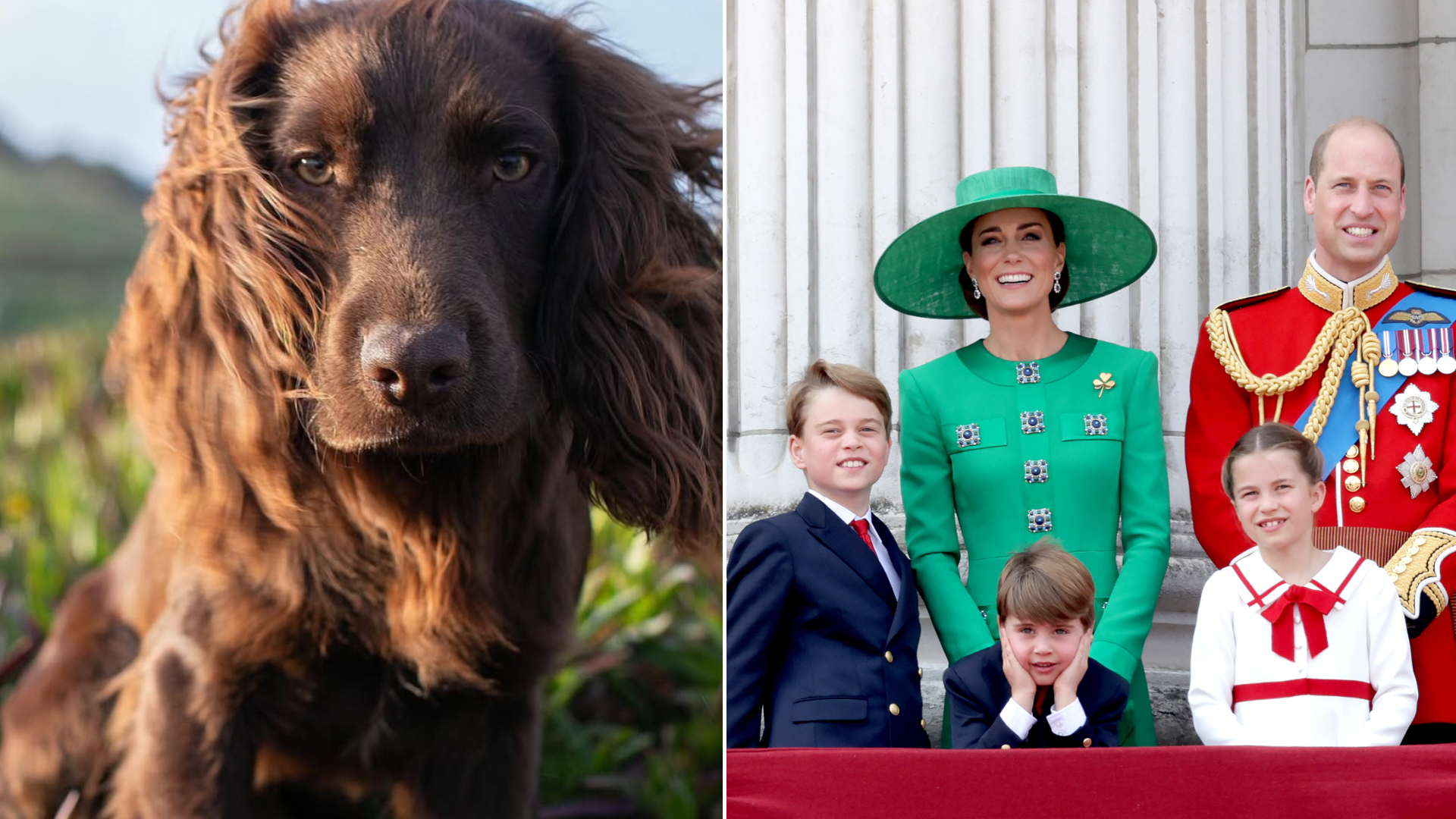 Princess Kate and Prince William's newest puppy Otto is a handful for the entire Wales family