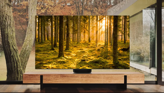 The Samsung 85QN900B TV displaying an autumnal forest scene