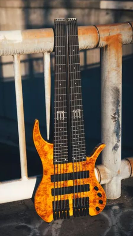 FM Guitars dual-fretboard bass