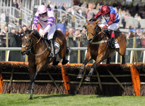 Cheltenham World Hurdle