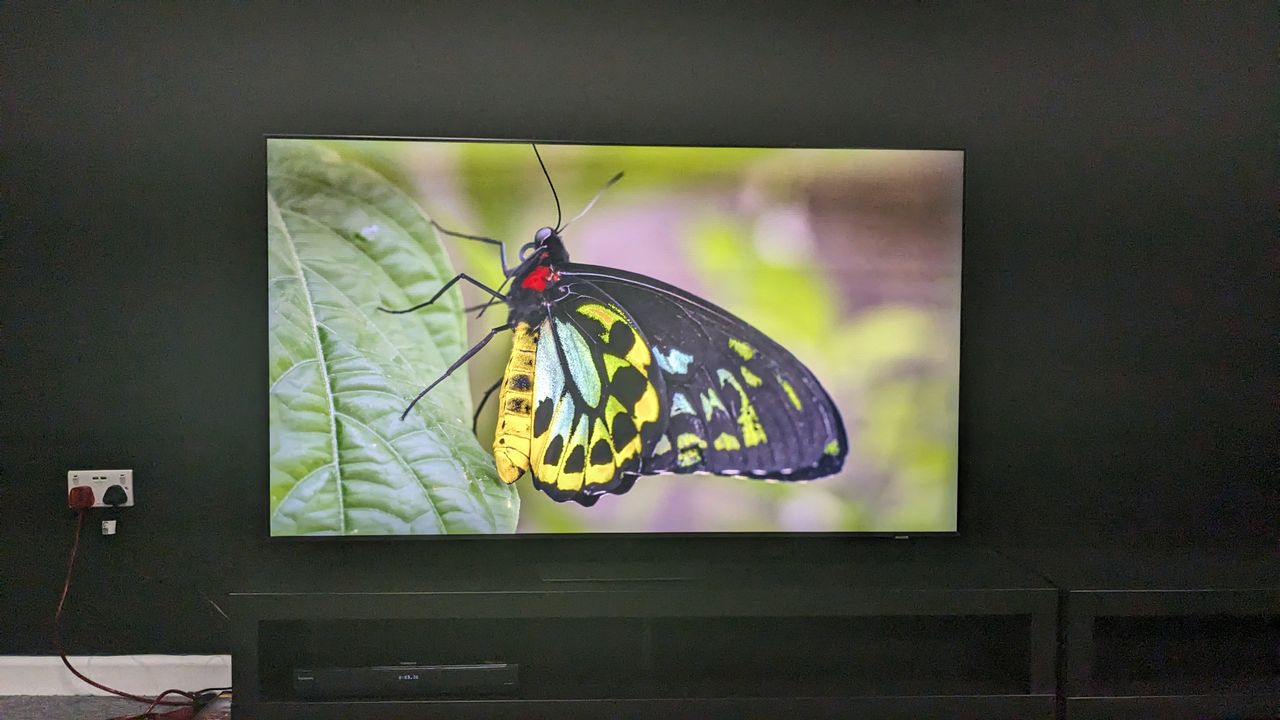 Samsung QN85D with green butterfly on screen