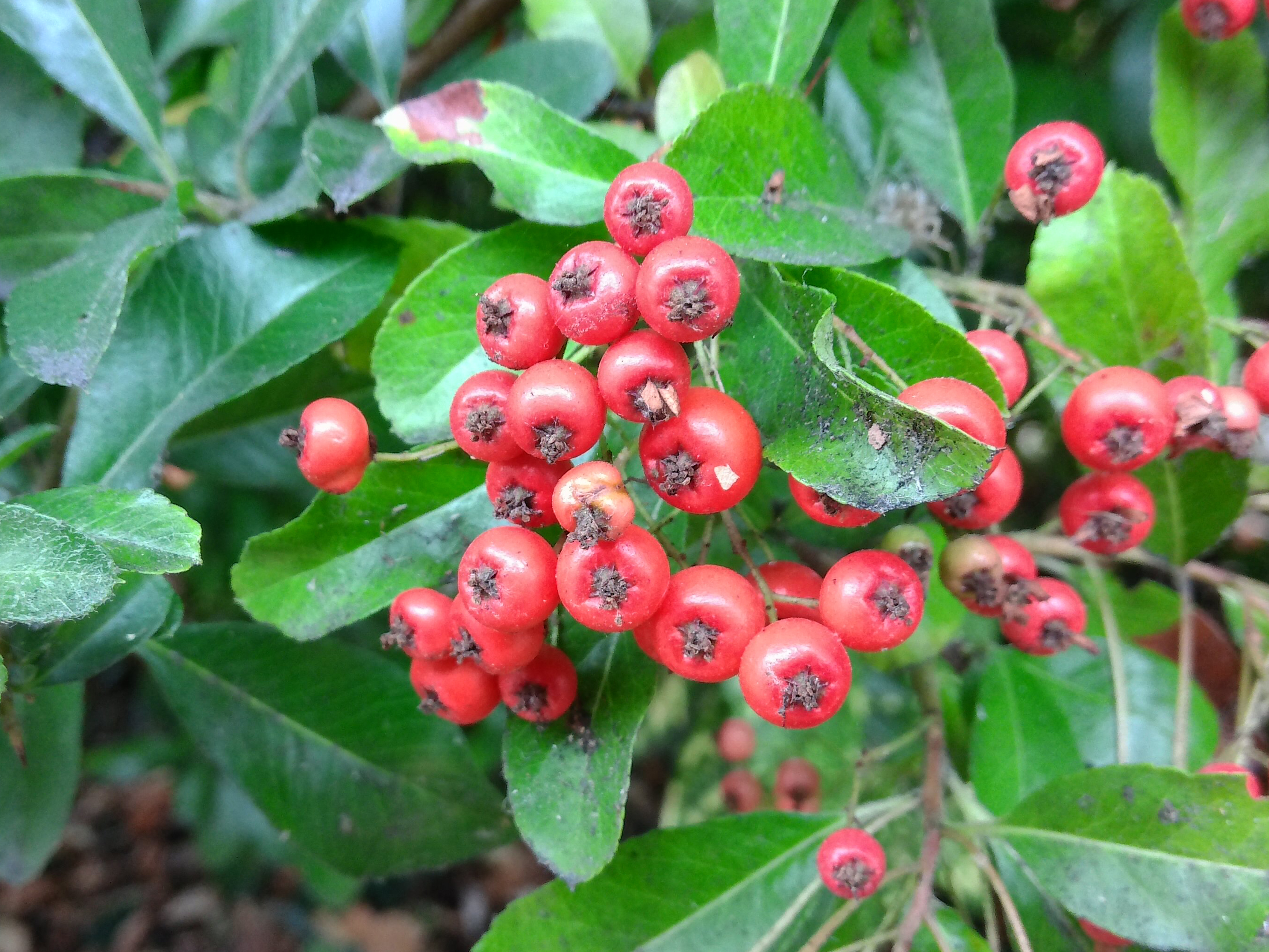 A photo taken on a Kodak PIXPRO C1 compact camera