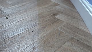 Floor before and after cleaning with Dyson Wash G1