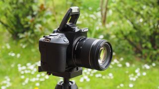 Perhaps the best camera for beginners, Canon EOS Rebel SL3 / 250D sits atop a tripod in a field