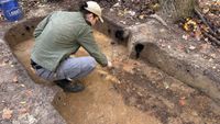 An excavator is in an excavated rectangular area in the woods