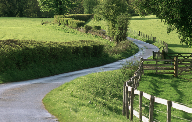 country-road.jpg