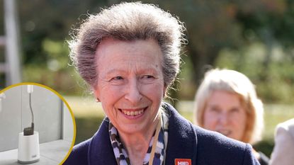 A roundel showing the Joseph Joseph toilet brush and a picture of Princess Anne in September 2026