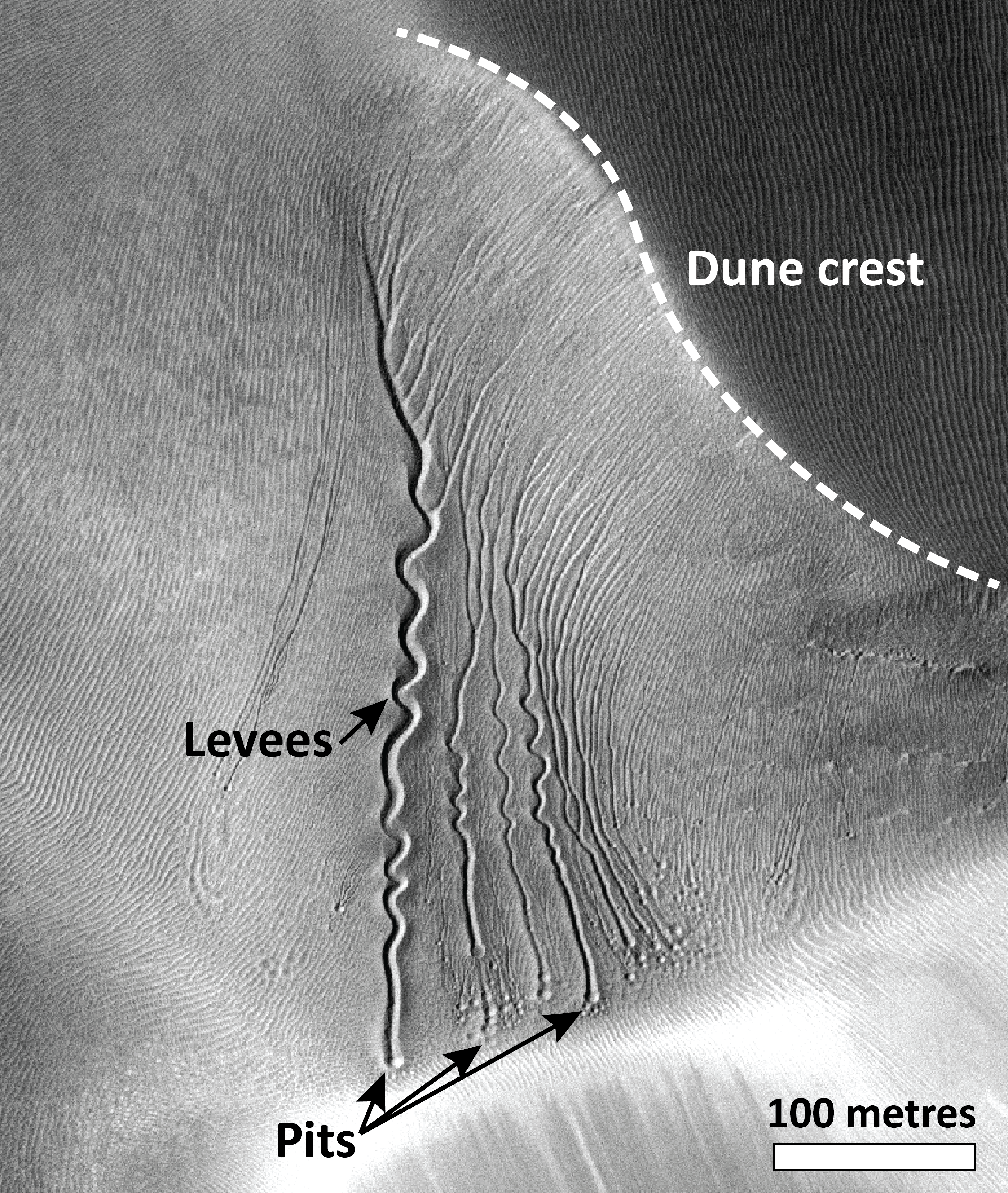 A imagem em escala de cinza chamada “Dune Top” mostra a borda de uma ravina marciana, onde os padrões de vento revelam a geologia da formação.