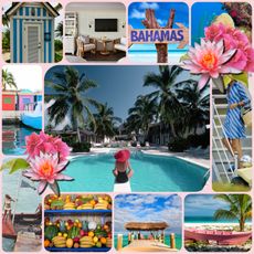Tropical packing guide