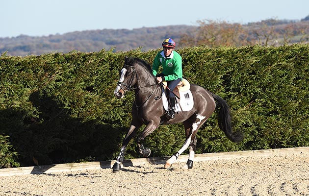 Frankie Dettori