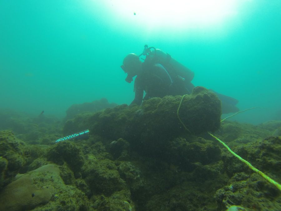 Diver at wreck site measuring cannon