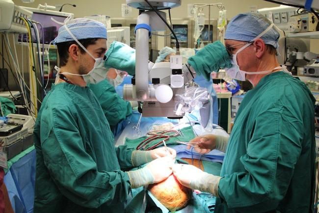 Doctors perform the skull and scalp transplant.