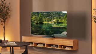 Samsung S95B im holzgetäfelten Wohnzimmer, das eine grüne Landschaft auf dem Fernseher zeigt