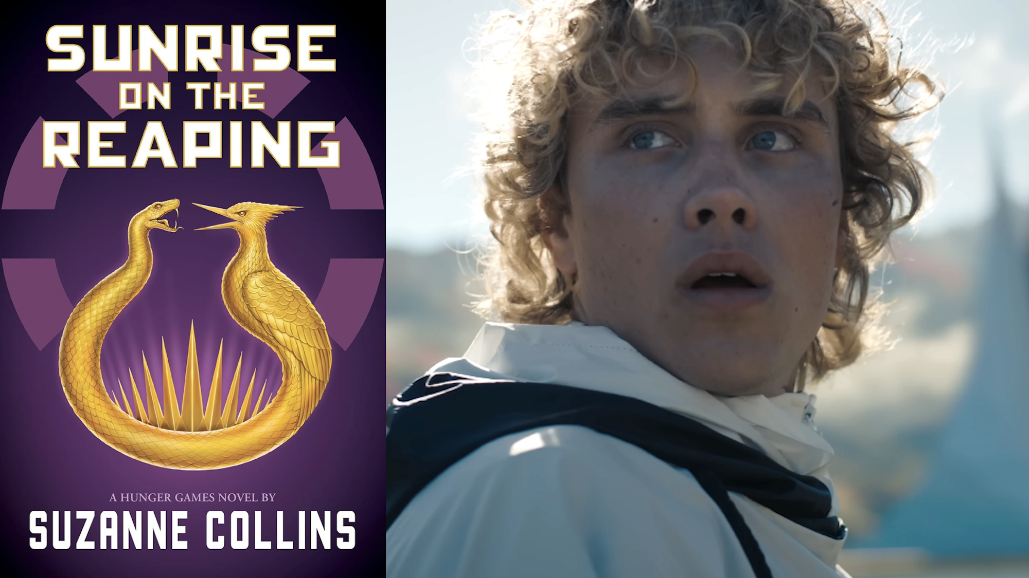 Sunrise on the the Reaping book and movie
