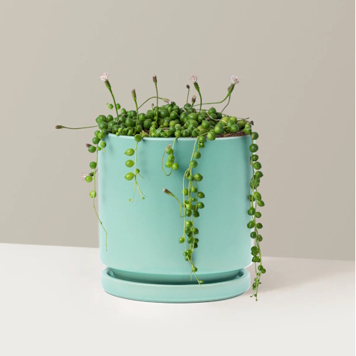 The Sill string of pearls