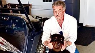 Sylvester Stallone and his new dog