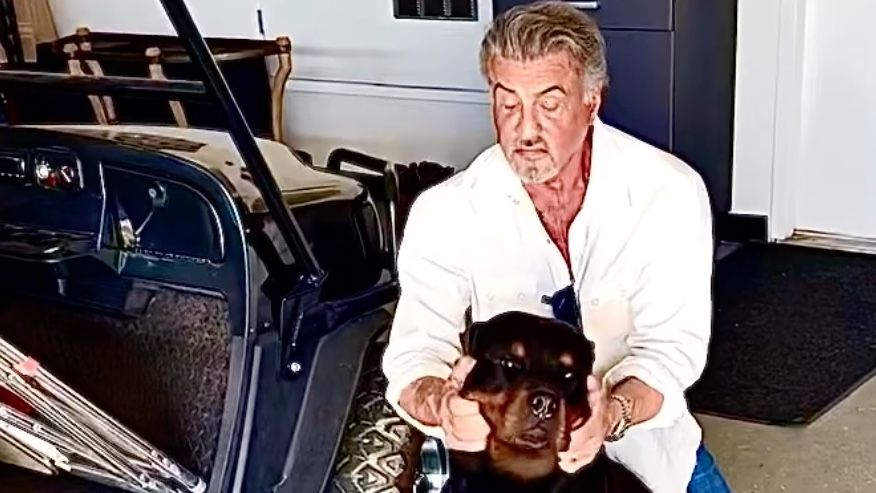 Sylvester Stallone shows off his new Rottweiler puppy Dwight | PetsRadar