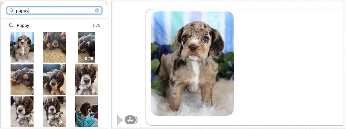 To add photos, use the search tool to find an image to use. Select the image to send. Type your message, then click the return key to send the message.