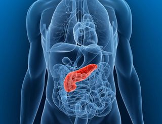 Pancreatic Cancer Causes Symptoms Treatments Live Science